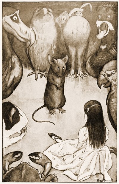 قال الفأر: "المنجم حكاية طويلة وحزينة" ، توضيح لمغامرات لويس كارول في أليس في بلاد العجائب ، 1901. بواسطة بيتر نيويل